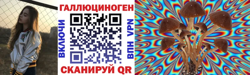 Псилоцибиновые грибы прущие грибы  Купить где  Шацк 